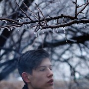 ���������� �������, ���� ������� Ivan, 30 ���, ������������ ��� ���������