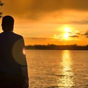 ���������� �����������, ���� ������� ���������, 37 ���, ������������ ��� ������, ����� � ���������