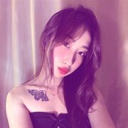 ���������� ������������, ����������