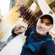 ���������� ��������, ���� ������� �������, 43 ����, ������������ ��� ������, ����� � ���������, c�������� ���������