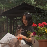 ���������� �������, ���� ������� ������, 50 ���, ������������ ��� c�������� ���������