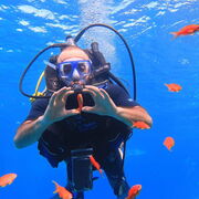 ���������� ������, ���� ������� �������, 37 ���, ������������ ��� ������, ����� � ���������