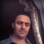  ,   Lion, 47 ,   ,   , c 