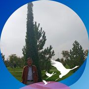  ,   , 67 ,   ,   , c 