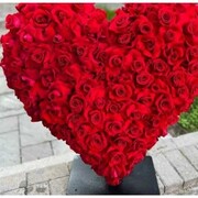 ���������� ���������, ���� ������� �����, 60 ���, ������������ ��� ������, ����� � ���������