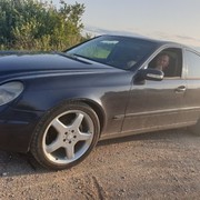 ���������� �����, ���� ������� �����, 40 ���, ������������ ��� ������, ����� � ���������, c�������� ���������