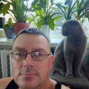  ,   , 40 ,   