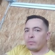  ,   Shamil, 40 ,   ,   , c 