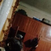 ,  , 20