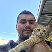 ���������� ������, ���� ������� �������, 29 ���, ������������ ��� ������, ����� � ���������, c�������� ���������, ���������