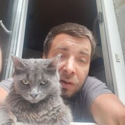 -,   , 41 ,   ,   , c 