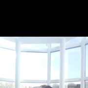 ���������� ������, ���� ������� ������, 41 ���, ������������ ��� ������, ����� � ���������