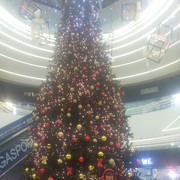  ,   Tolik, 28 ,   ,   , c 