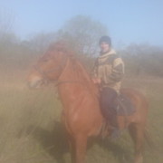 ���������� �����, ���� ������� �������, 32 ����, ������������ ��� ������, ����� � ���������, c�������� ���������