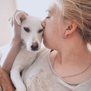 ���������� �����-���������, ���� ������� ����������, 29 ���, ������������ ��� ������, ����� � ���������, ���������