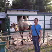 ���������� �����������, ���� ������� ����, 35 ���, ������������ ��� ������, ����� � ���������, c�������� ���������, ���������