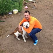 ���������� �������, ���� ������� �������, 41 ���, ������������ ��� ������, ����� � ���������, c�������� ���������