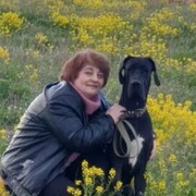  ,   , 59 ,   ,   