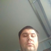   ,   , 41 ,   
