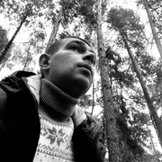 ���������� ������, ���� ������� �������, 37 ���, ������������ ��� ������, ����� � ���������, c�������� ���������