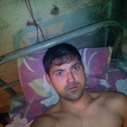  ,  vitek, 39