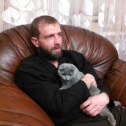 ���������� �����, ���� ������� ��������, 46 ���, ������������ ��� ������, ����� � ���������, c�������� ���������