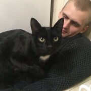 ���������� ������, ���� ������� ������, 31 ���, ������������ ��� ������, ����� � ���������, c�������� ���������, ���������