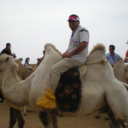 ���������� ������, ���� ������� ����, 45 ���, ������������ ��� ������, ����� � ���������, c�������� ���������