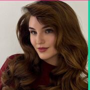 ���������� �����������, �������