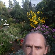  ,   , 61 ,     , c 