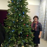 ���������� �����, ���� ������� �����, 66 ���, ������������ ��� ������