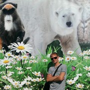 ���������� ����, ���� ������� ������, 38 ���, ������������ ��� ������, ����� � ���������, c�������� ���������