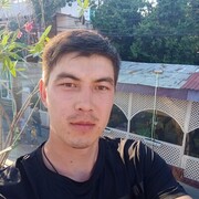 ���������� ���������, ���� ������� ���������, 29 ���, ������������ ��� c�������� ���������