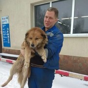 ���������� ������, ���� ������� ���������, 44 ����, ������������ ��� ������, ����� � ���������, ���������