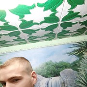 ,   Radu, 33 ,   ,   , c 