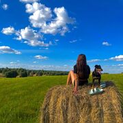 ���������� �����-���������, ���� ������� ���������, 23 ����, ������������ ��� ������, ����� � ���������