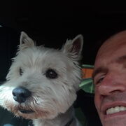 ���������� ������, ���� ������� ����, 39 ���, ������������ ��� ������, ����� � ���������, c�������� ���������