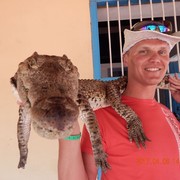  --,   , 42 ,  