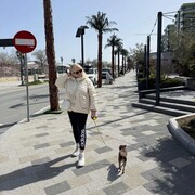 ���������� ����, ���� ������� �����, 55 ���, ������������ ��� c�������� ���������