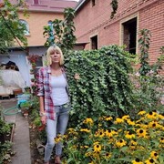   ,   , 53 ,   c 
