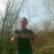 ���������� �����, ���� ������� �������, 43 ����, ������������ ��� ������, ����� � ���������, c�������� ���������, ���������