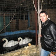  ,  andrei, 41