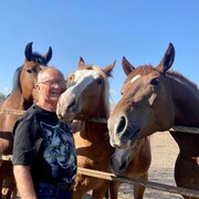 ���������� �������, ���� ������� ���������, 62 ����, ������������ ��� ������, ����� � ���������