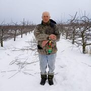  ,   , 55 ,   ,   