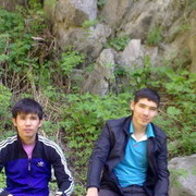  ,   87784266641, 33 ,   