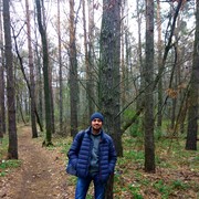  ,   , 43 ,   
