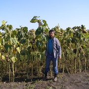  ,   , 50 ,  