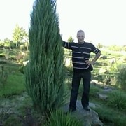 ,  , 37