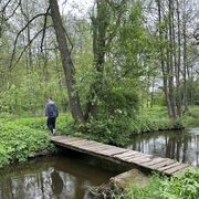 ���������� ������, ���� ����� �����, 22 ����, ������������ ��� ������, ����� � ���������, c�������� ���������