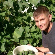 ���������� �����������, ���� ������� ����, 49 ���, ������������ ��� ������, ����� � ���������, c�������� ���������